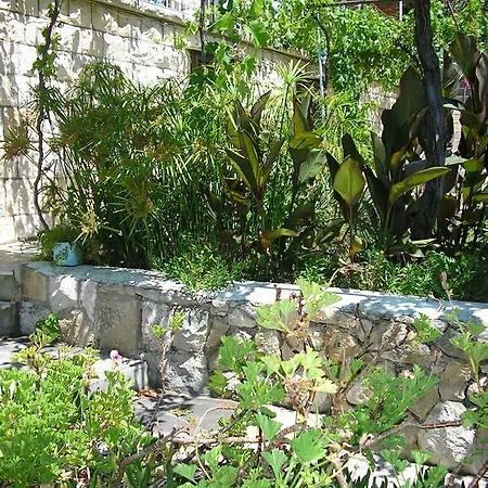 Noor And 3* Хвар